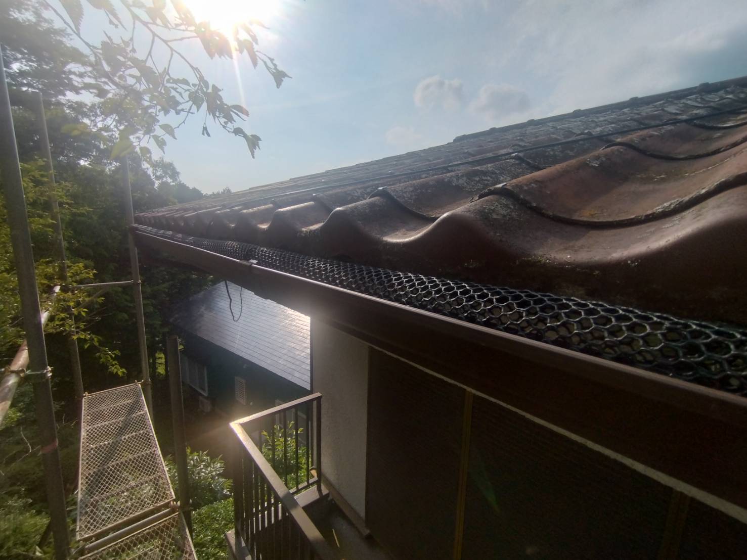 雨樋交換済み