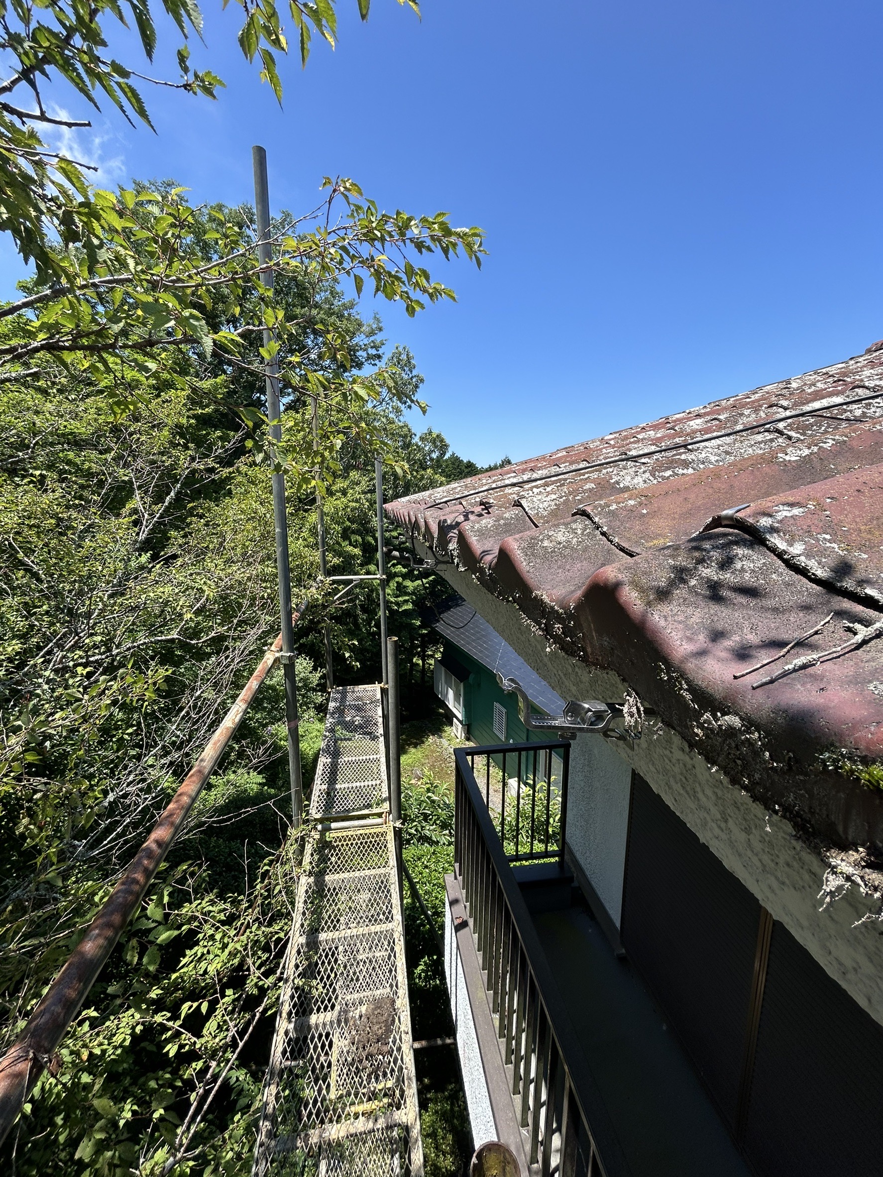 函南町で雨樋交換。土の蓄積や強風による破損を解消！落ち葉除けネットで再発防止