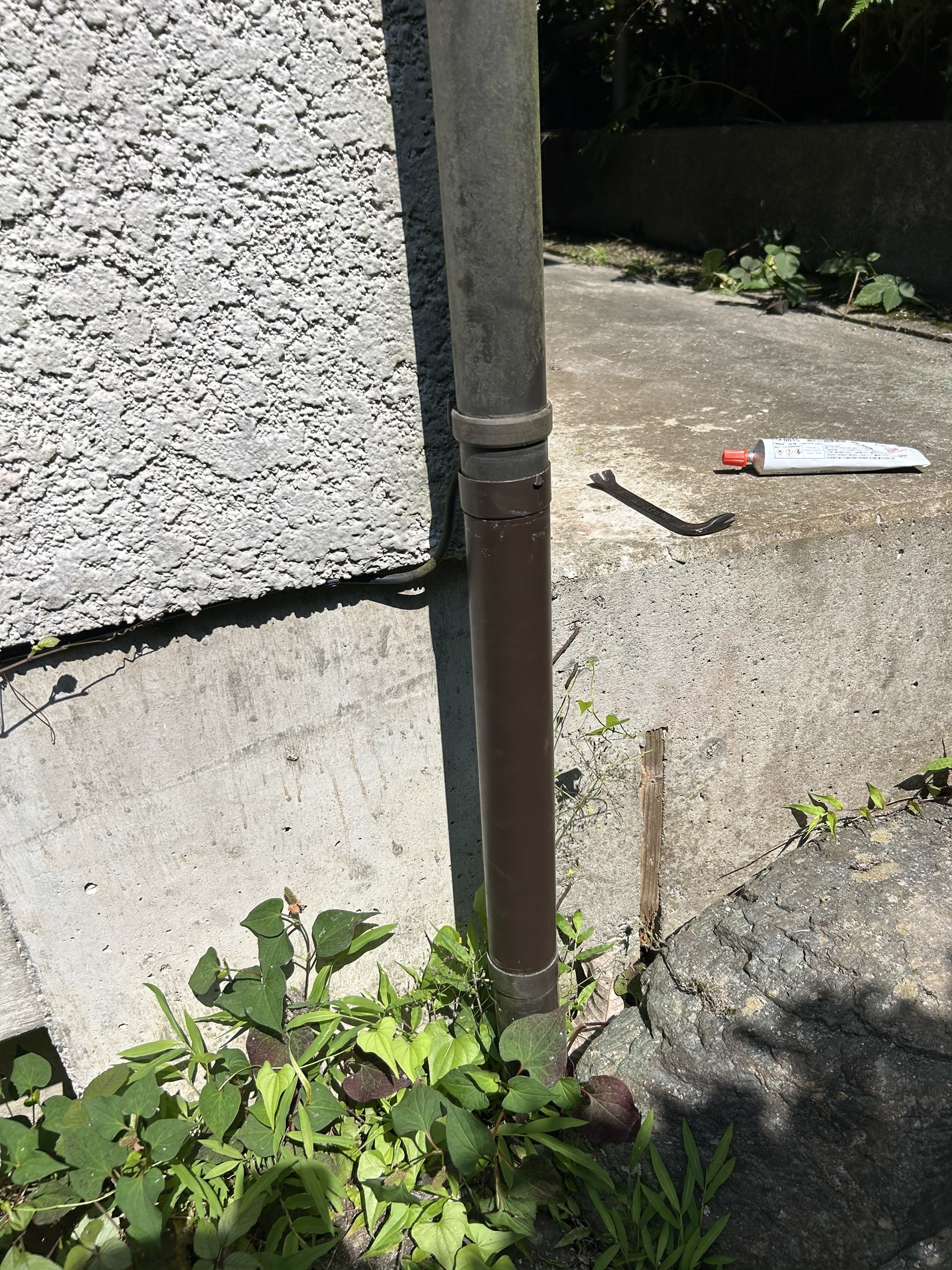 竪樋